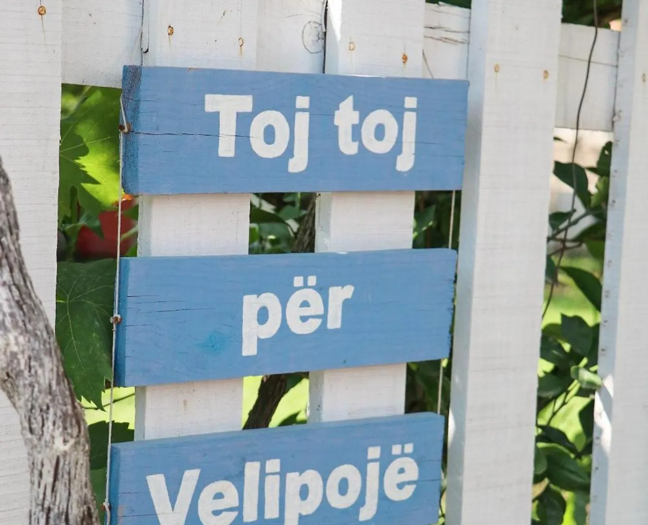 Green Villa Velipojë