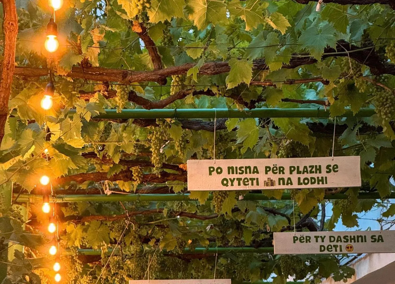 Πανσιόν Green Villa Velipojë